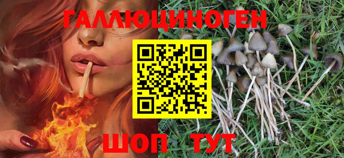 Мурино  Псилоцибиновые грибы Magic Shrooms  Вход с VPN 
