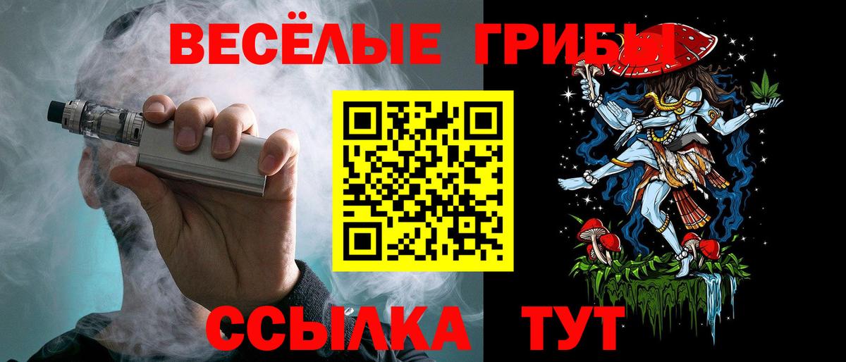 Псилоцибиновые грибы Psilocybine cubensis Мурино